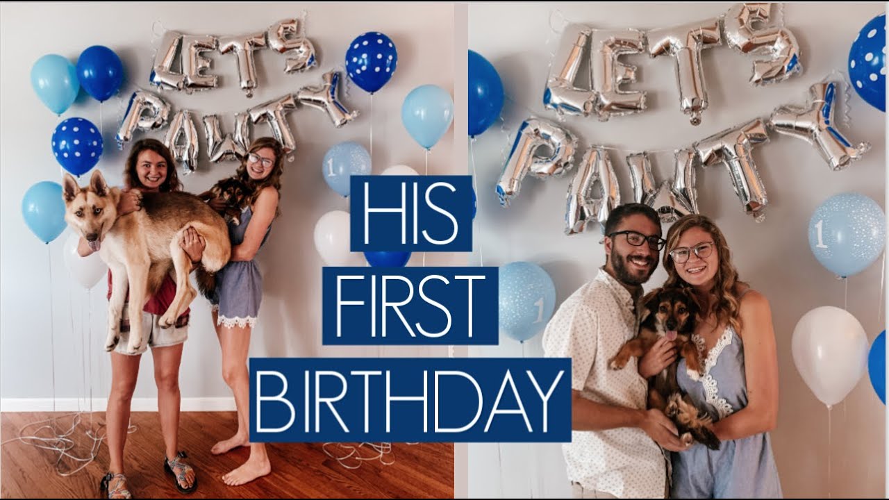 Our Rescue Dog's FIRST Birthday Party // Making PUPcakes & Seeing Dog Friends!!