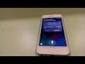 Siri for iOS 7 first look on iPhone 5