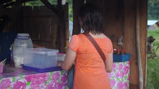 Buying A Bananacue Near The Rice Fields: Ilocos Tour (May 2015)