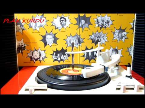 NASIL EVLENİRSİN BU LİSANLA / MARC ARYAN SÖZ: FECRİ EBCİOĞLU 45RPM