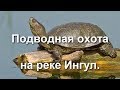 Подводная охота на реке Ингул.