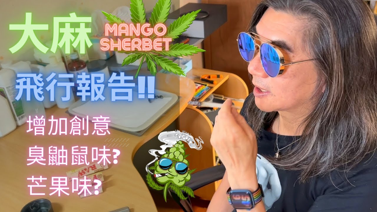[一介草民]飛行報告✈️大麻芒果味?!臭鼬鼠味?大麻可提升創意？(中字) #thailand #cannabis #泰國 #大麻 #泰國大麻合法化 #大麻除罪化