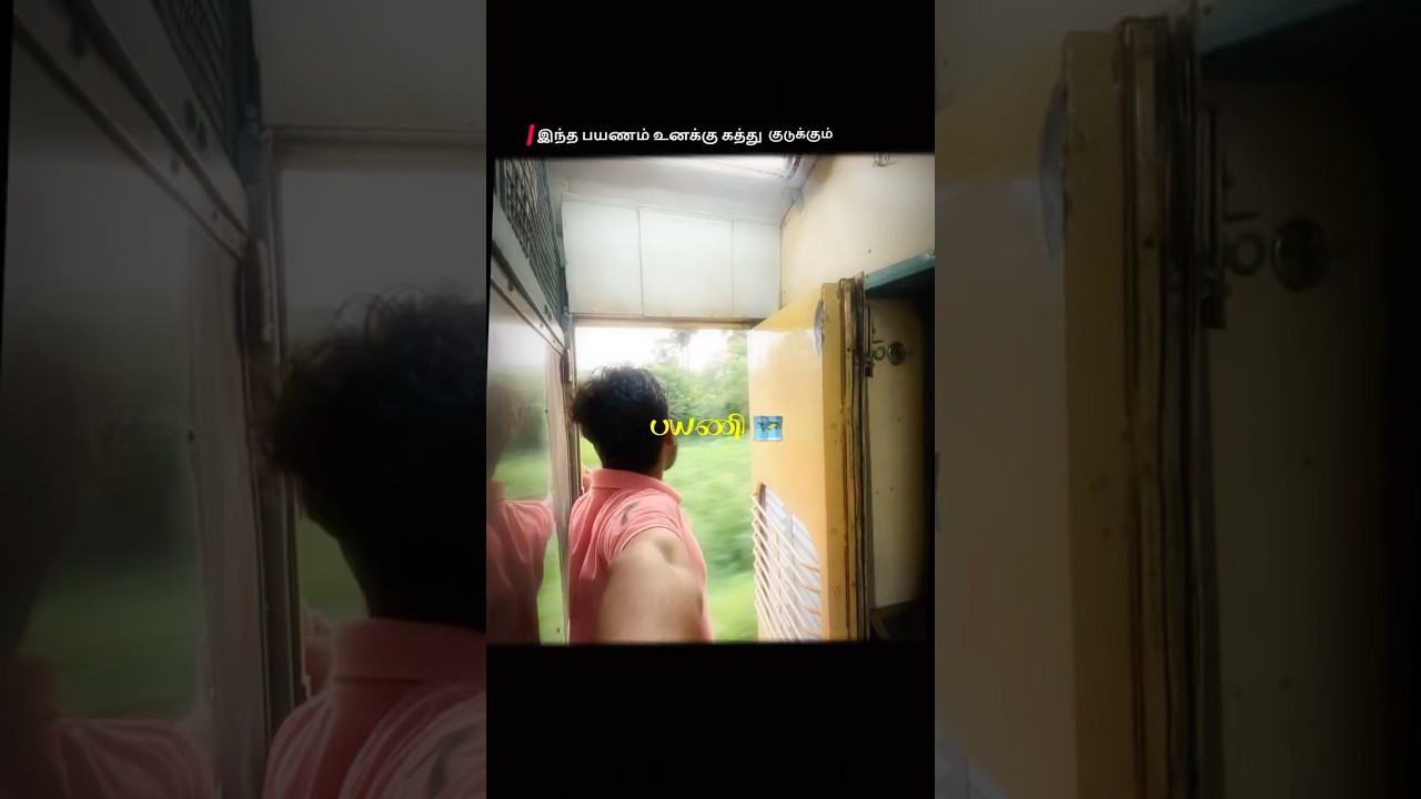 பயணி 🗺️ 