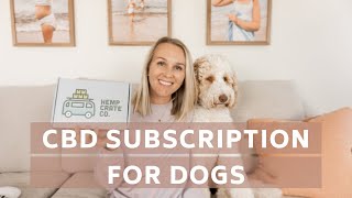 CBD for Aussiedoodle dogs | CBD Benefits for dogs - Unboxing Monthly Subscription box for dogs