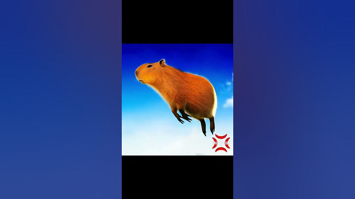 Capybara flying to the moon meme