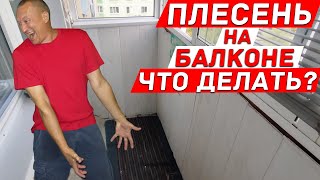 :   .     ?
