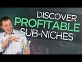 Finding a Profitable Niche within a Niche (Sub-Niches)