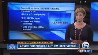Anthem data breach: Are you a victim