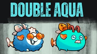 DOUBLE AQUA! Spiky Koi, Arco Scarab (AAP) Gameplay 2024 | Axie Infinity Classic