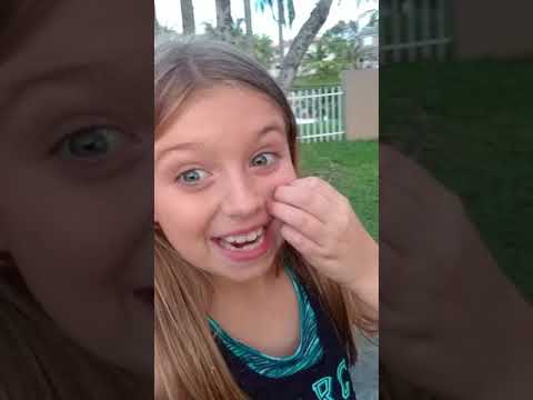 Hurricane Irma destroyed are trees