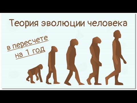 Теория эволюции человека (максимально коротко) | Тело человека