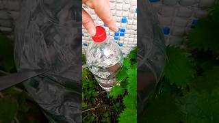 Evde Basit Damlama Sulama Sistemi Şırınga Pet Şişe Ile