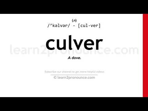 Pronunciation of Culver | Definition of Culver