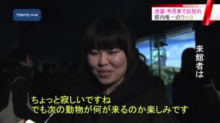 サンシャイン水族館　都内最後のラッコ、今月末でお別れ