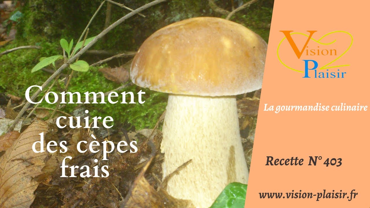Comment cuire des cèpes
