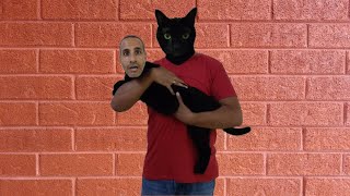 Funny Cat Face Change Cat Change Face