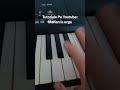 #romania #piano #music #acordeon  #acordeon