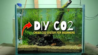 How to:Make Cheap Diy CO2 for aquarium| Low Budget CO2 System