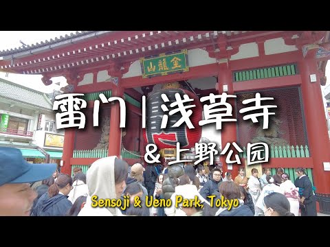 東京必去景點！雷門、淺草寺、上野公園完整導覽