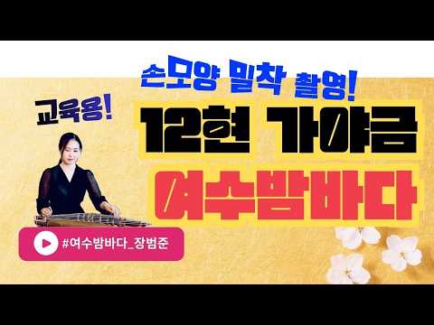여수밤바다 (12현 가야금) - 버스커 버스커