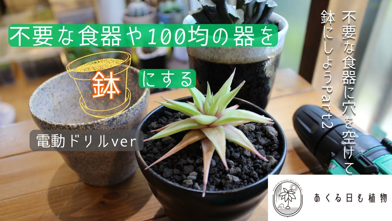 不要な食器や100均の器を鉢にする-電動ドリルver-