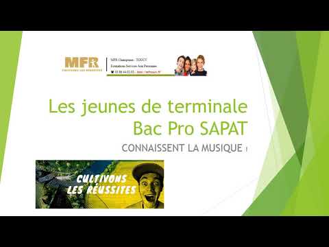 Projet Musique TERMINALES  2019 2020