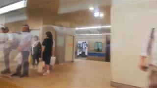 小田急ロマンスカーLSE  新宿駅発車後の車内放送 20180629