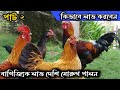 দেশি মোরুগ পালন পদ্ধতি পার্ট ২। মোরুগ পালন পদ্ধতি #মুরগি_চাষ, #দেশি_মুরগি_পালন, #পোল্ট্রি_ফার্মিং