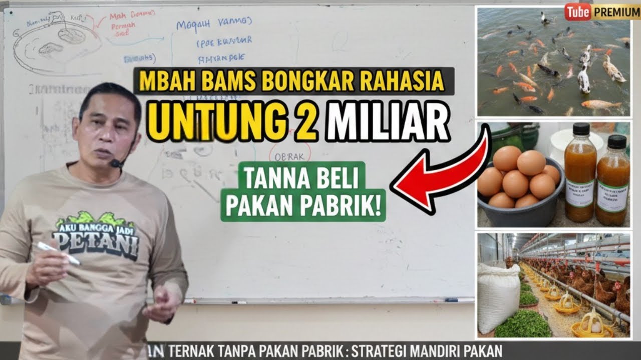 Cara Ternak Tanpa Beli Pakan: Strategi Jadi Miliarder dari Lahan Sempit!