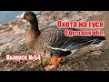 Охота на гуся | Одесская область | Выпуск №54 (UKR)
