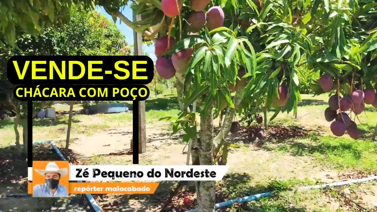 ( VENDIDA ) CHÁCARA  COM POÇO ARTESIANO MUITA AGUA NO NORDESTE 