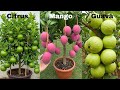 Grow Fruit and Flower Trees FAST with These Simple Tricks Guaranteed to Work