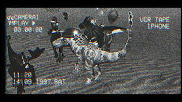 why is Dinos online the series ep 10 taking so long??