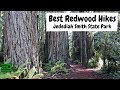 Top Redwood Hikes at Jedediah Smith State Park | Northern California