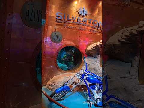 The Silverton Casino #casino #lasvegas #aquarium #lasvegasnevada #fun #party #viral #ytshorts #fish