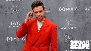 Liam Payne&#39;s Best Red Carpet Moments