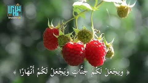 فَقُلْتُ اسْتَغْفِرُوا رَبَّكُمْ إِنَّهُ كَانَ غَفَّارًا – القارئ أحمد النفيس
