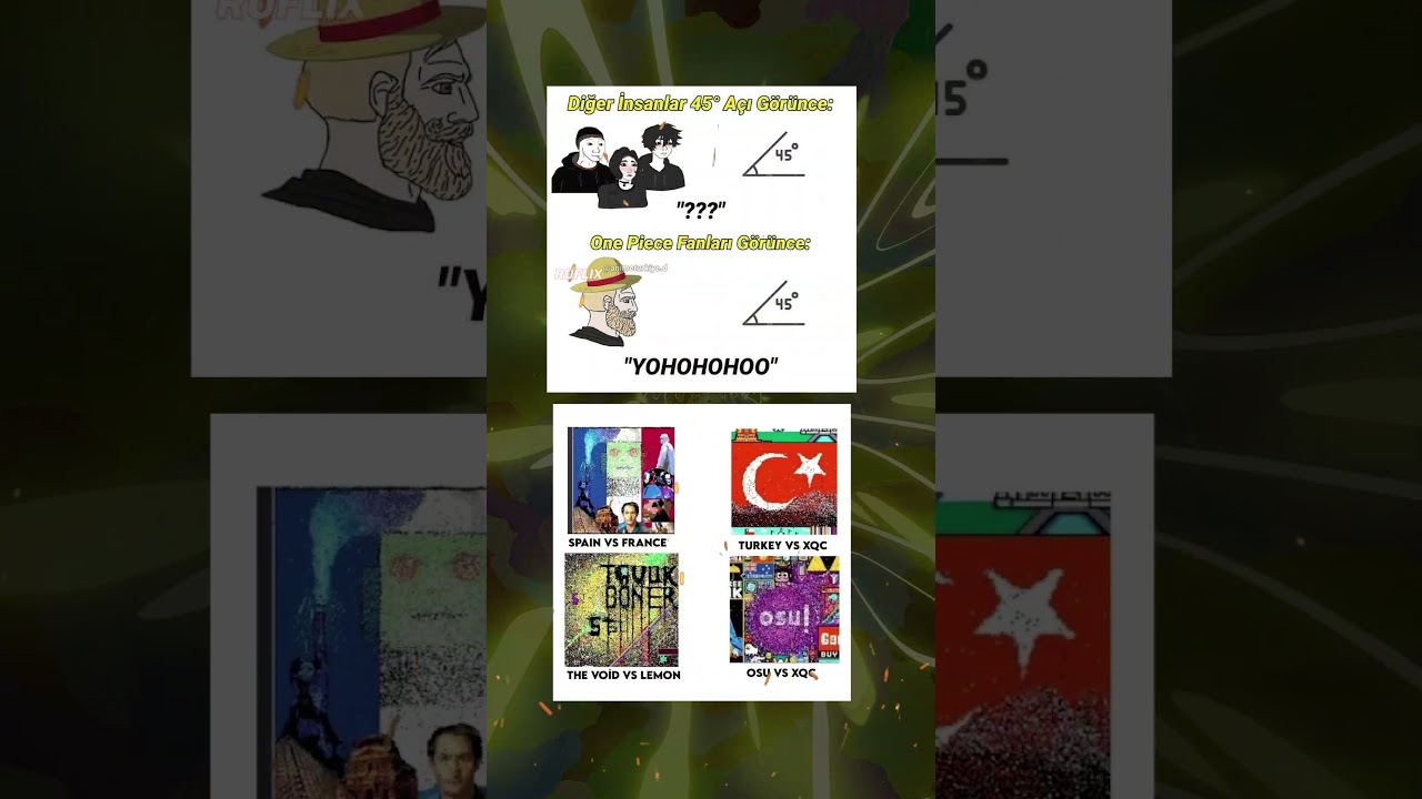 REDDİT TÜRKİYE BAYRAĞINI ELRAENLE SAVUNMAK 