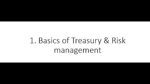 1.1 SAP Treasury and Risk Management Basics