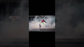 free palestina , song will drop soon #freepalestine #palestine #savepalestine #gaza