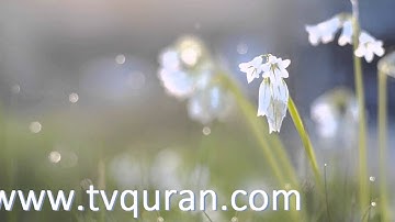 الشيخ القارئ حمد الغريري اية 133 من سورة الرعد