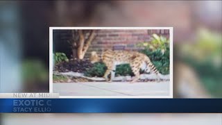 Stacy Elliott fails to show for first court appearance, arrest warrant could be filed Net Worth