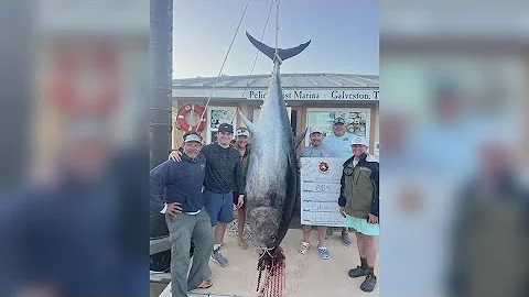 Port Arthur man hauls in record breaking 884 pound Bluefin Tuna