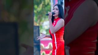 new pallapa full album part 14 || hadir kembali dengan album kesunyian ati by ana Rista