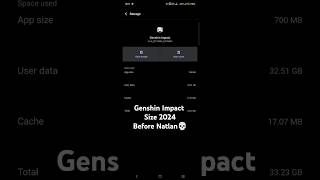 Genshin Impact Mobile Size 2024 #genshinimpact