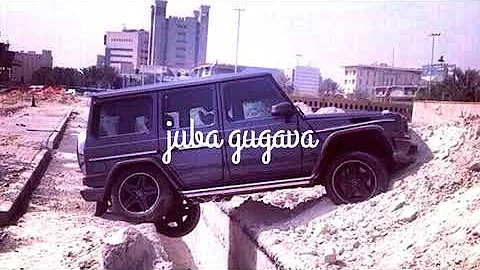 Бабочки не спят ночами летают