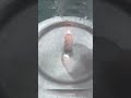 experiment with candle. and happy independence🇮🇳 day.by cyclone