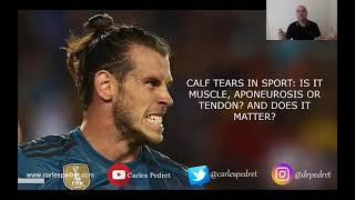 Calf tears in sport: Is it muscle, aponeurosis or tendon? And does it matter?