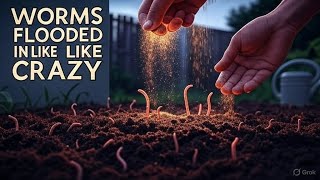 SPRINKLE THIS ONCE – AND WORMS WILL FLOOD YOUR RAISED BED LIKE MAGIC