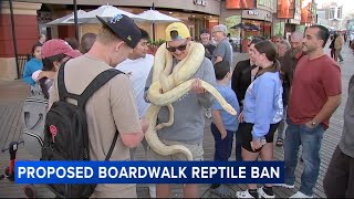 Famous Atlantic City looking to ban snakes, other reptiles on boardwalk Net Worth